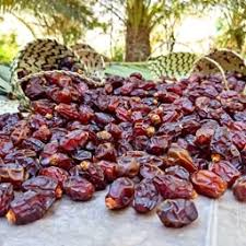 تصویر 4 از خرما گنتار خوزستان تازه با بافت نرم و طعم طبیعی عالی